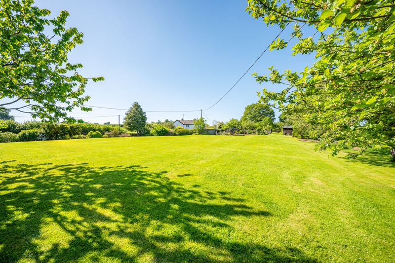 Garden- click for photo gallery